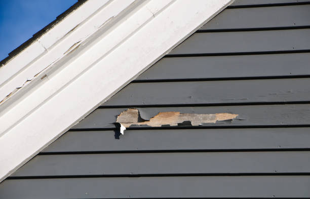 Affordable Siding Repair and Maintenance Services in Hillsborough, NC